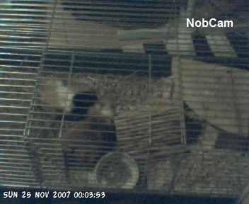 NobCam